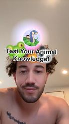 Preview for a Spotlight video that uses the Animal Expert Lens