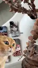 This short-form content features a humorous 'bank account vs. me' dialogue about buying cat-themed phone cases. The creator, KaseMe, showcases several stylish cases with their cats on them, while a comedic voiceover narrates the internal conflict of wanting to splurge on a deal versus financial responsibility. von @kasemedesign mit kasemedesign von Original Sound