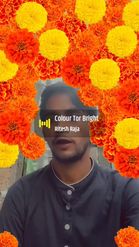 Preview for a Spotlight video that uses the Marigold Field Lens