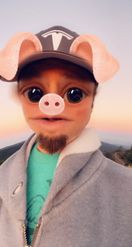 Preview for a Spotlight video that uses the Funny Pig Lens