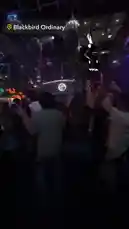 itsma_bitchezz 님이 만든 Original Sound 포함 @itsma_bitchezz 님이 만든 Experience the vibrant energy of Blackbird Ordinary, a bustling nightclub pulsing with electronic music. The scene is alive with a large crowd dancing under dazzling laser lights and colorful spotlights. A large screen displays visuals, adding to the immersive atmosphere. This lively night out captures the essence of a modern party.