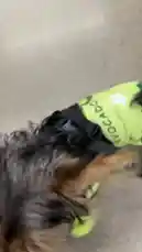 Tae’ler Made (@iamtaelermade) | Snapchat Stories, Spotlight & Lenses