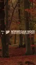This video presents the iconic song 'Norwegian Wood (This Bird Has Flown)' by The Beatles. It features a serene autumn forest with trees and fallen leaves, creating a contemplative mood. The song begins with the lyrics, 'I once had a girl, or should I say she once had me,' setting the tone for the classic track. by @thebeatles with Original Sound by Contains: Norwegian Wood (This Bird Has Flown) (Second Version - Take 2) - The Beatles