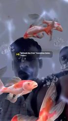 Preview for a Spotlight video that uses the Koi Fish Lens