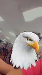 Preview for a Spotlight video that uses the Eagle Head Lens