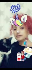 Preview for a Spotlight video that uses the Cat and Unicorn  Lens