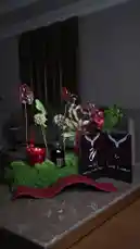 ضيافة vip by @om.louraa with original sound