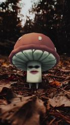 Preview for a Spotlight video that uses the Mushroom Lens