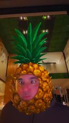 Preview for a Spotlight video that uses the Pineapple Head Lens