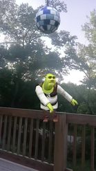 Preview for a Spotlight video that uses the Shrek dance Lens