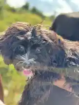 Video by @eliza_webb25 with original sound