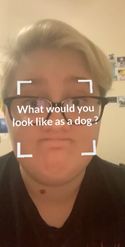 Preview for a Spotlight video that uses the Which Dog Are You Lens