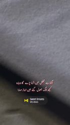 Preview for a Spotlight video that uses the Urdu Poetry MD 15 Lens