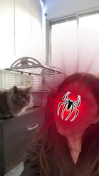 Preview for a Spotlight video that uses the Self Spiderman Lens