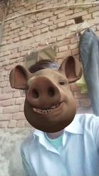 Preview for a Spotlight video that uses the Pig Face Lens