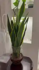 Video by @home_garden3 with original sound