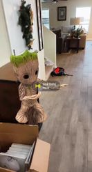 Preview for a Spotlight video that uses the Groot Dancing Cute Lens