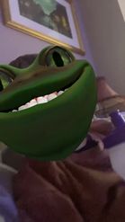 Preview for a Spotlight video that uses the Frog Head Lens