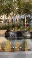 tufavlatiino 님이 만든 Original Sound 포함 @tufavlatiino 님이 만든 This video captures a serene moment at the Googleplex in Sunnyvale, CA. Two ducks are seen perched on a modern water feature, basking in the sun. The tranquil scene highlights the integration of nature within a tech campus environment.