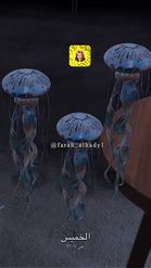 Preview for a Spotlight video that uses the jellyfish Lens