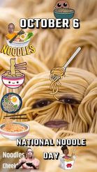 Preview for a Spotlight video that uses the Noodle Face Lens