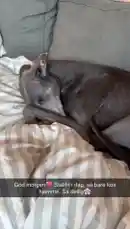 Video by @monajohanneh with original sound