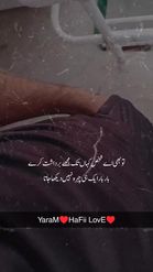 Preview for a Spotlight video that uses the Urdu Sad Poetry Lens