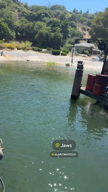 @rubenhndzv 님의 Jaws 스포트라이트