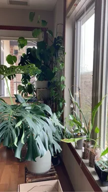 Chérie Lorraine (@cherielorraine) | Snapchat Stories, Spotlight & Lenses