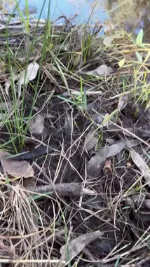 theogcfu (@the_ogcfu) Snapchat Stories, Spotlight & Lenses