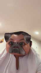 Preview for a Spotlight video that uses the Funny Pug Lens