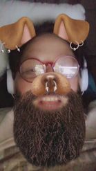 Preview for a Spotlight video that uses the Bearded Punk Dog 🐶 Lens