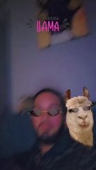 Preview for a Spotlight video that uses the Llama Drama Lens