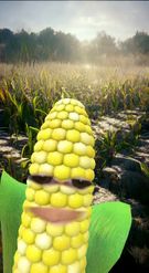 Preview for a Spotlight video that uses the Corn Lens