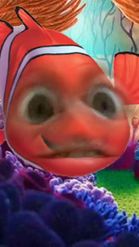 Preview for a Spotlight video that uses the Nemo Face Lens