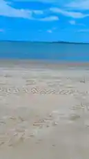 abdoufall205962 님이 만든 Original Sound 포함 @abdoufall205962 님이 만든 Join Abdou Fall on a serene day at the beach. The video captures the tranquil beauty of the shoreline with its expansive blue waters and sandy shores under a bright sky. It begins with scenic views of the coast before shifting to a personal perspective, showing Abdou Fall himself enjoying the peaceful atmosphere. This short clip is perfect for anyone looking for inspiration for their next vacation or simply wanting to enjoy some calming coastal scenery.