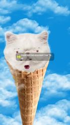 Preview for a Spotlight video that uses the Cat Ice Cream Lens