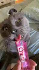 Video by @e-beth with original sound