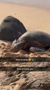 Maddie Tagg💖 (@maddietaggx) | Snapchat Stories, Spotlight & Lenses