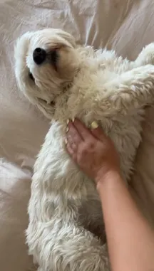 Mia Monroe (@miamonroe.xo) | Snapchat Stories, Spotlight & Lenses