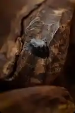 سبحان من خلق❤️ by @nawader.aloud44 with original sound