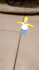 Preview for a Spotlight video that uses the Homer Simpson Lens