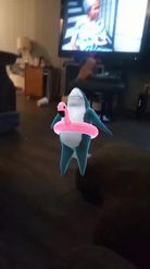 Preview for a Spotlight video that uses the Dancing Shark Lens