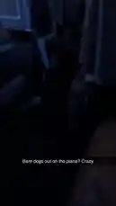 Britney Loh 💗 (@itsbritneyloh) | Snapchat Stories, Spotlight & Lenses