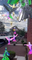 Preview for a Spotlight video that uses the Infinity Birds Lens