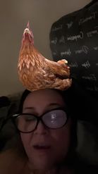 Preview for a Spotlight video that uses the Funny Chicken Lens