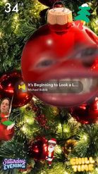 Preview for a Spotlight video that uses the Tree Ornament Lens