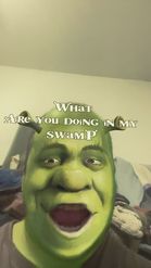 Preview for a Spotlight video that uses the shrek wap Lens