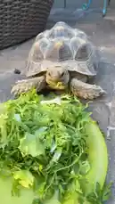 Eva Notty (@nottysquad) | Snapchat Stories, Spotlight & Lenses