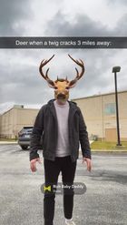Preview for a Spotlight video that uses the Deer Lens
